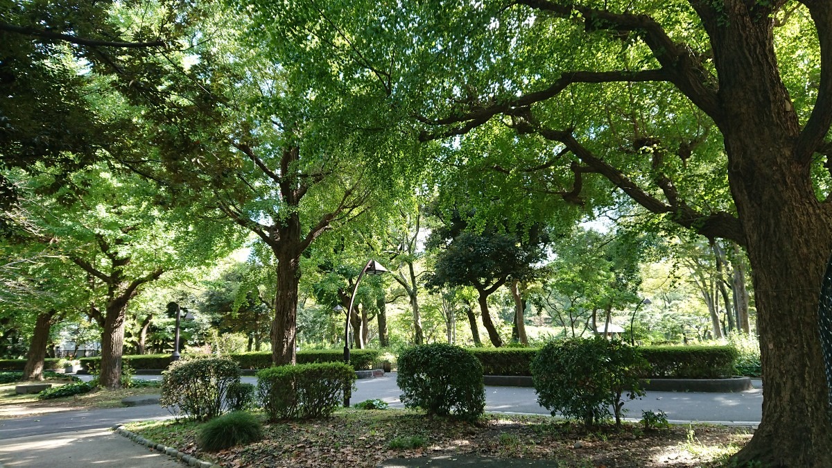 緑の癒しが最高〜🌿