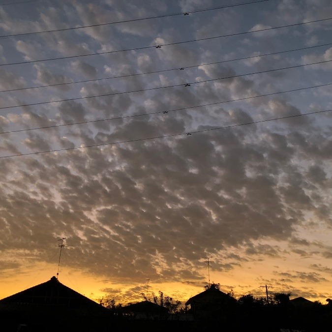 🌤夕焼け