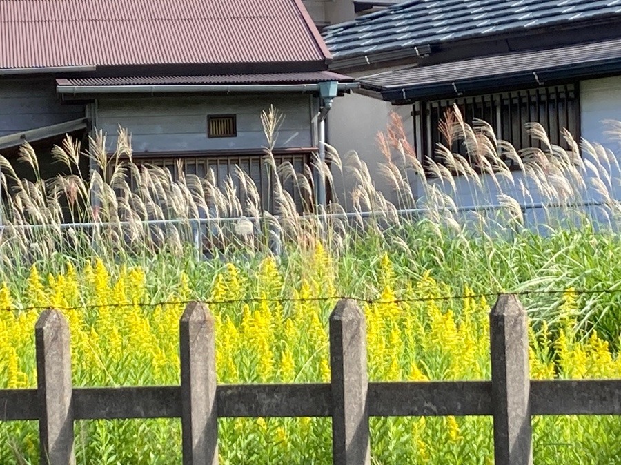 昼間の風景①