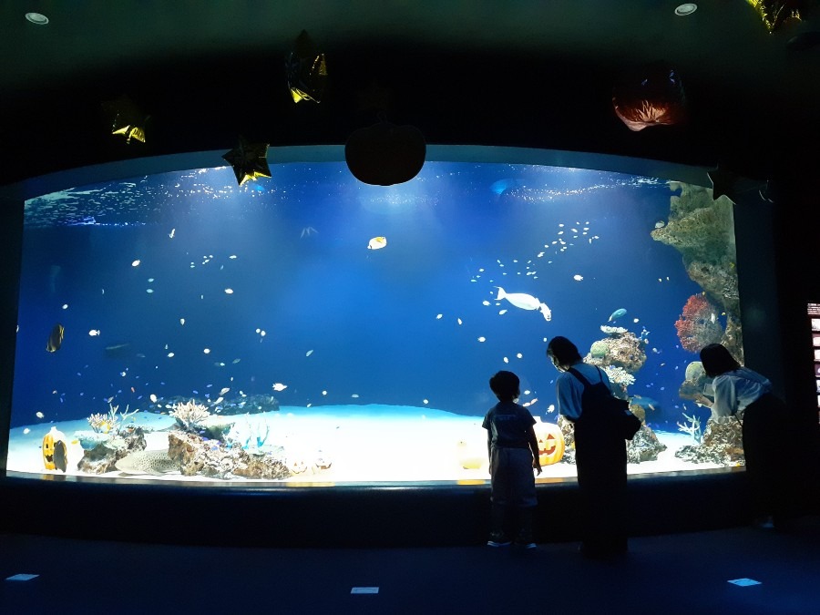 水族館