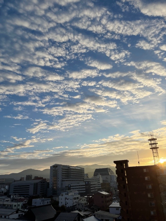 今朝の雲