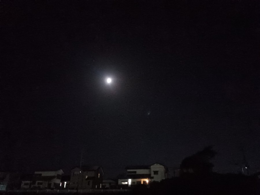 月が綺麗です❣️(^O^)•*¨*•.¸¸☆