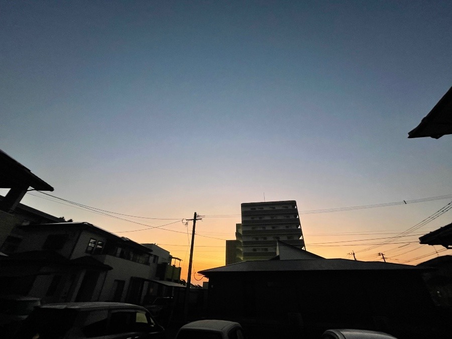 おはようございます❣️