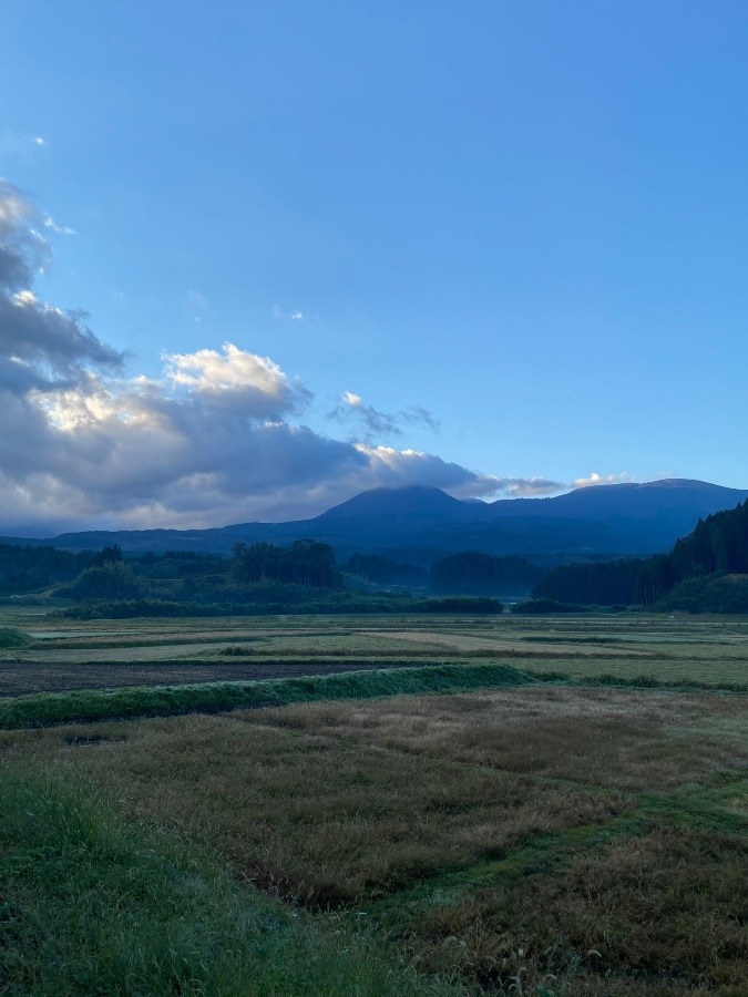 今日の霧島❣️