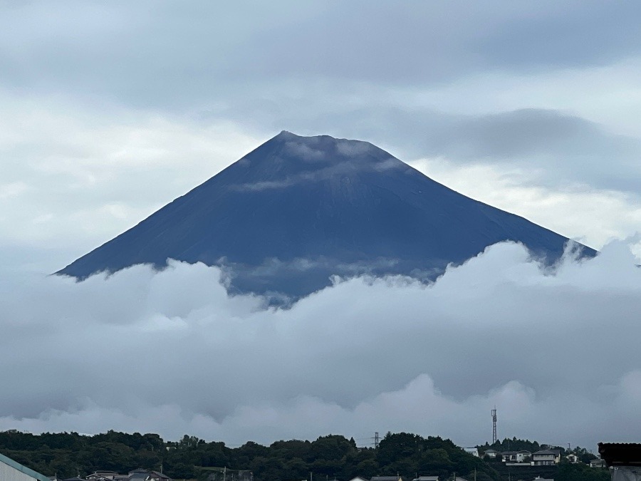 雲の中から富士山が❣️
