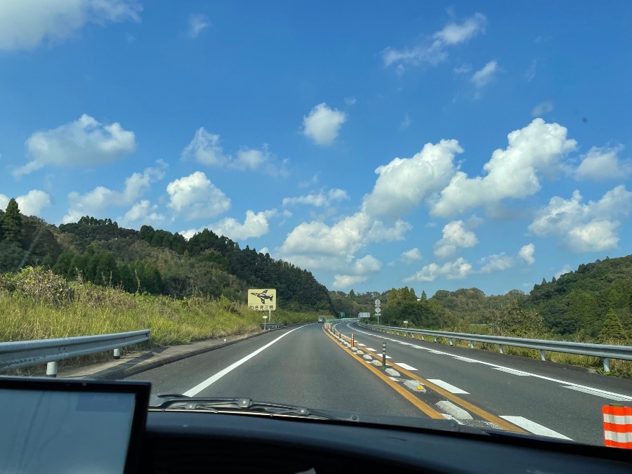 日曜日の東九州自動車道📸