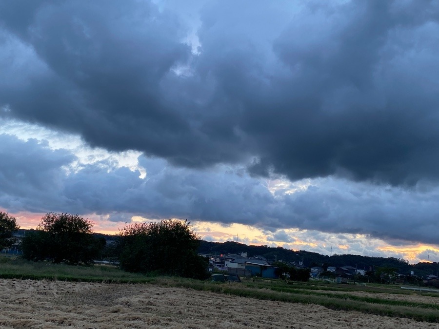 今朝の空　10/24