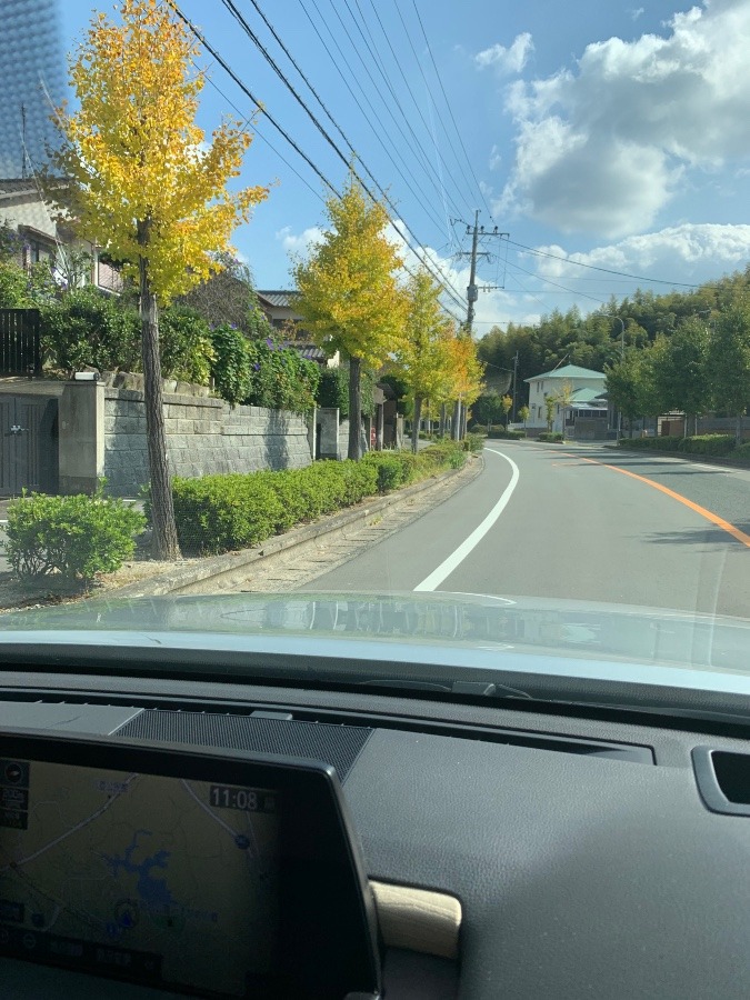 秋空とイチョウの葉🍀