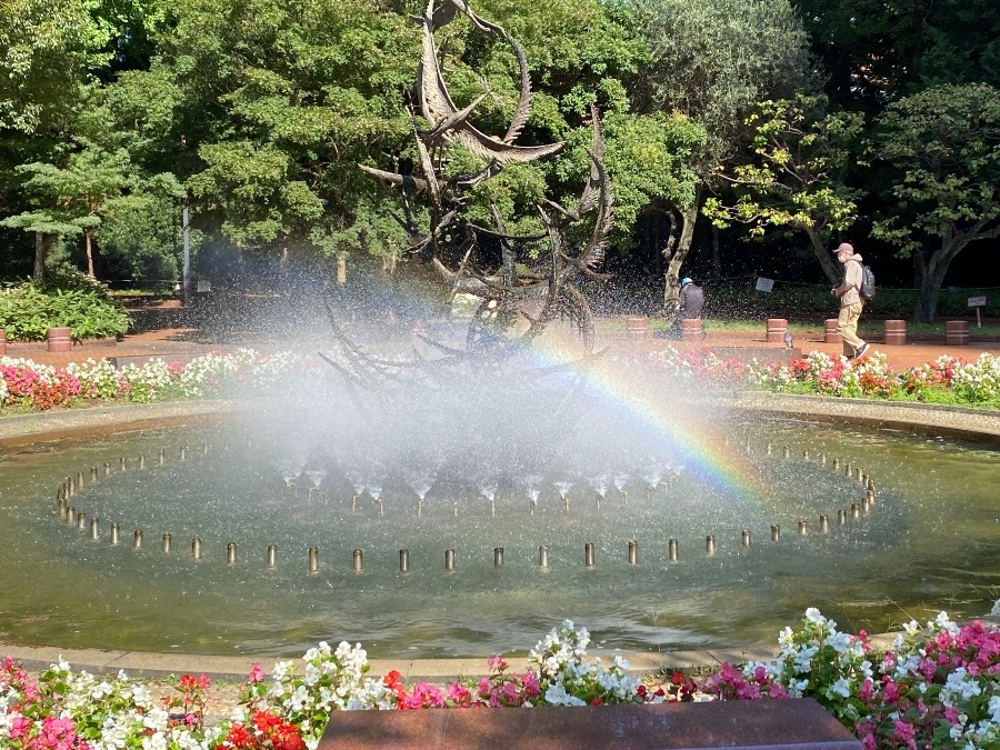 今日の日比谷🌈