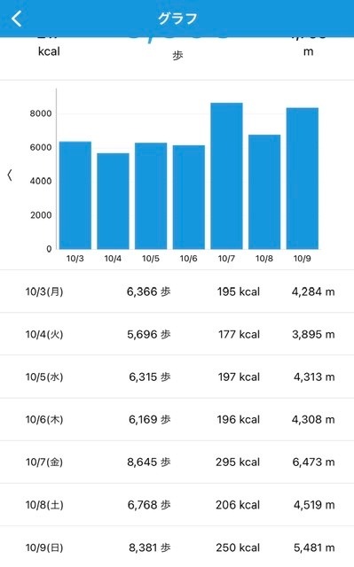 8381歩　10/9