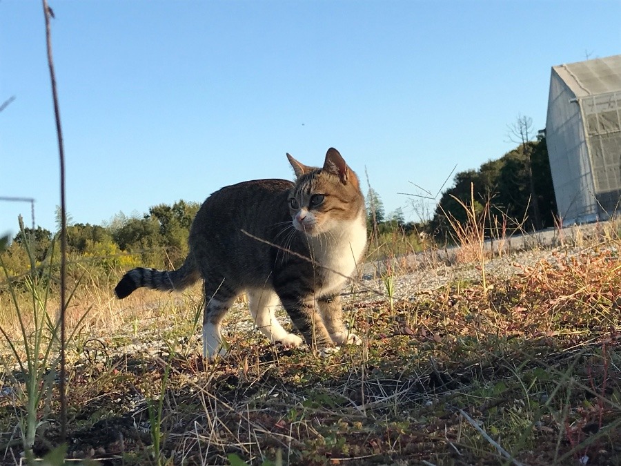 草原の中で……3