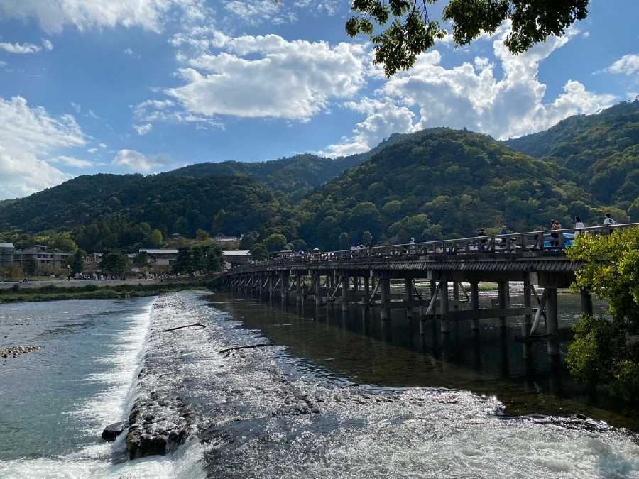 旅の思い出✨　渡月橋