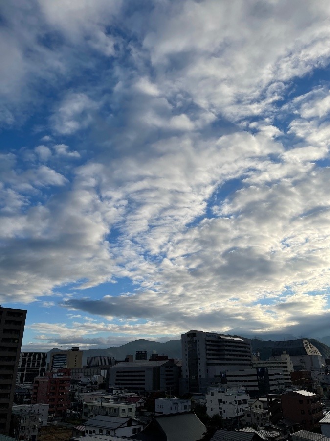 今朝の雲  1