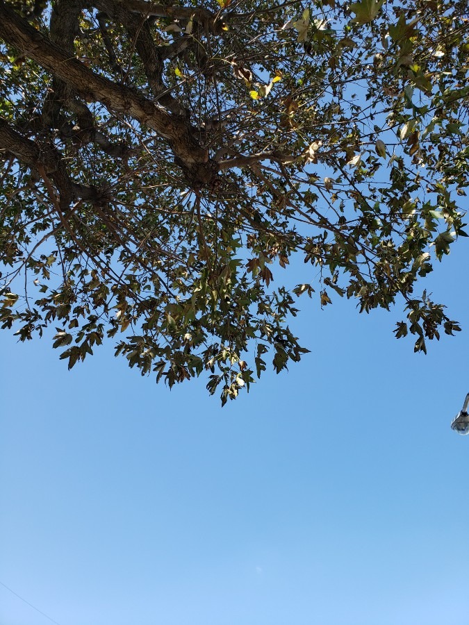 今日の空－10月29日