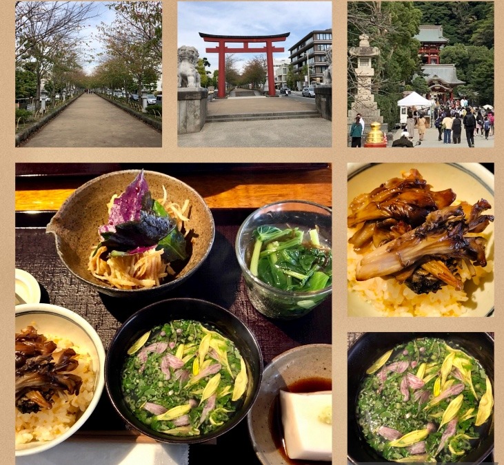 神社参拝と鎌倉野菜ランチ