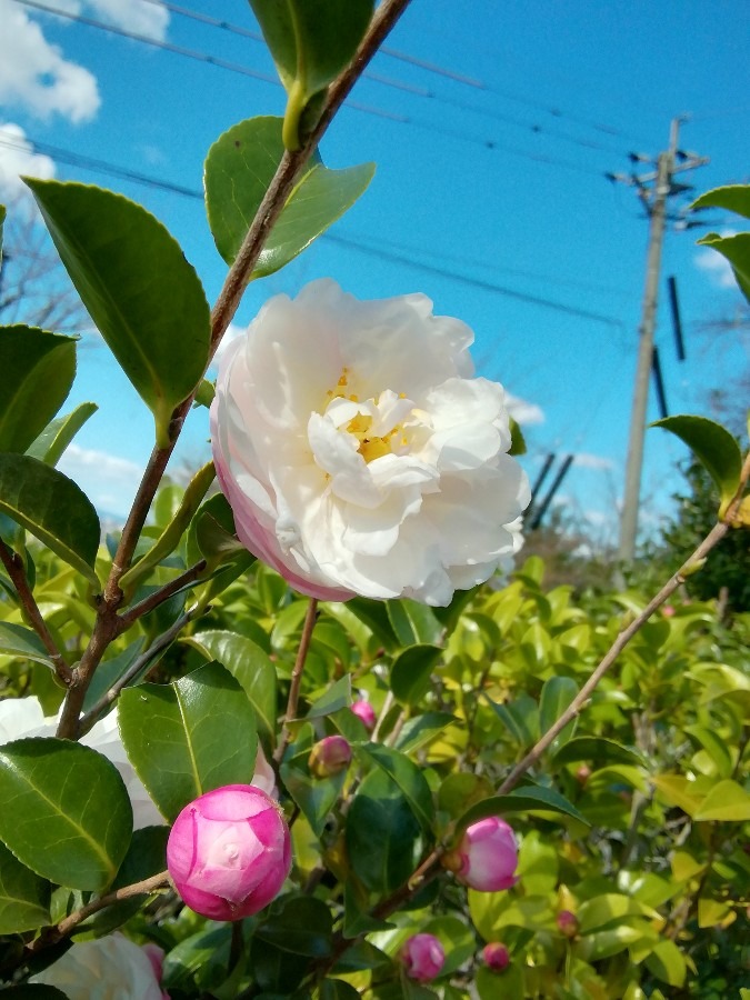 今、気づいた!