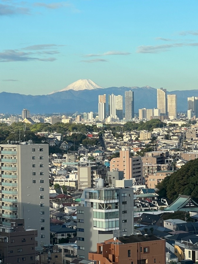 凛とした富士山