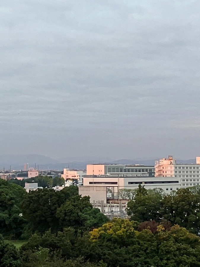 今朝の富士山