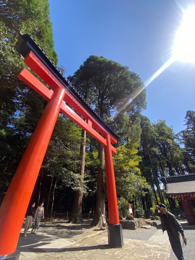 霧島神宮⛩