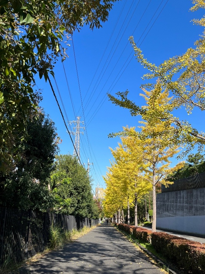 一日の始まり✨