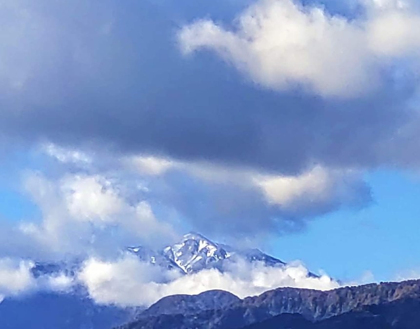 初冠雪