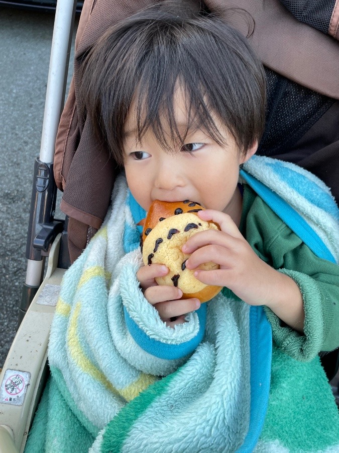 寝起きだけど散歩に行きたい！