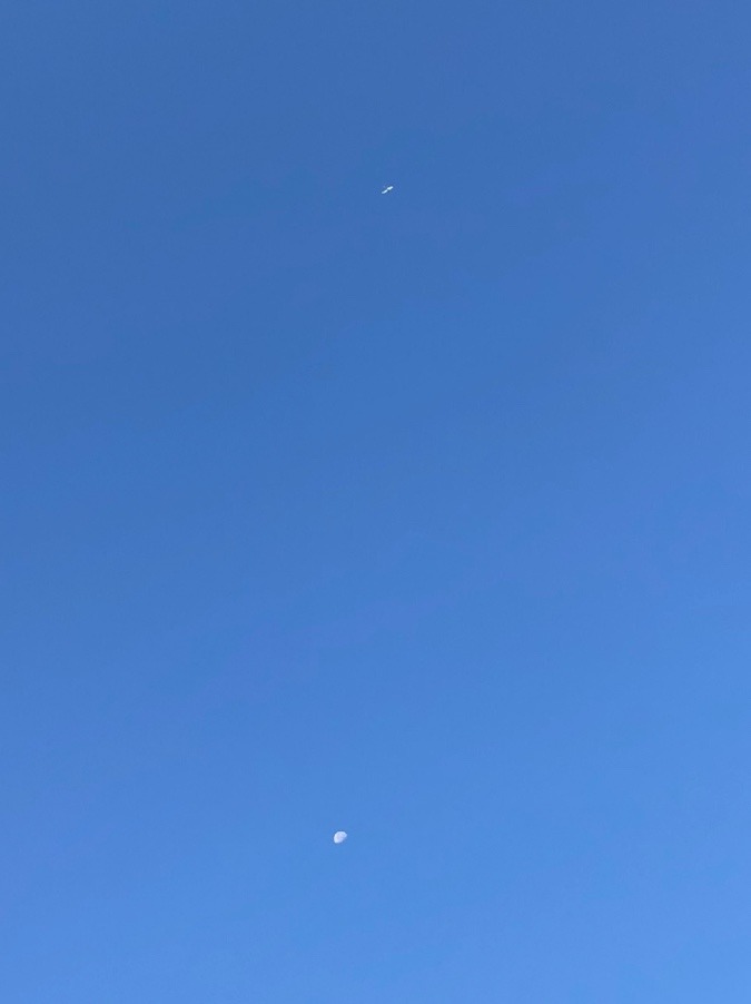 ✈️🌓シンクロ