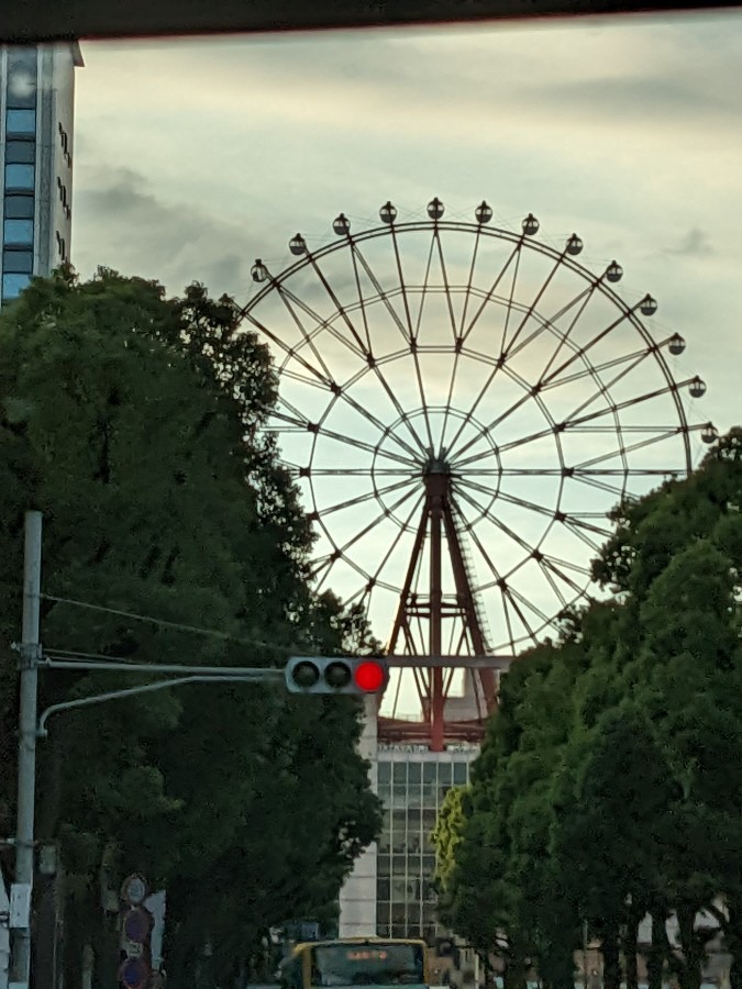 観覧車🎡