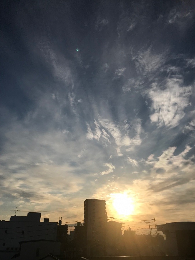 朝陽☀️✨