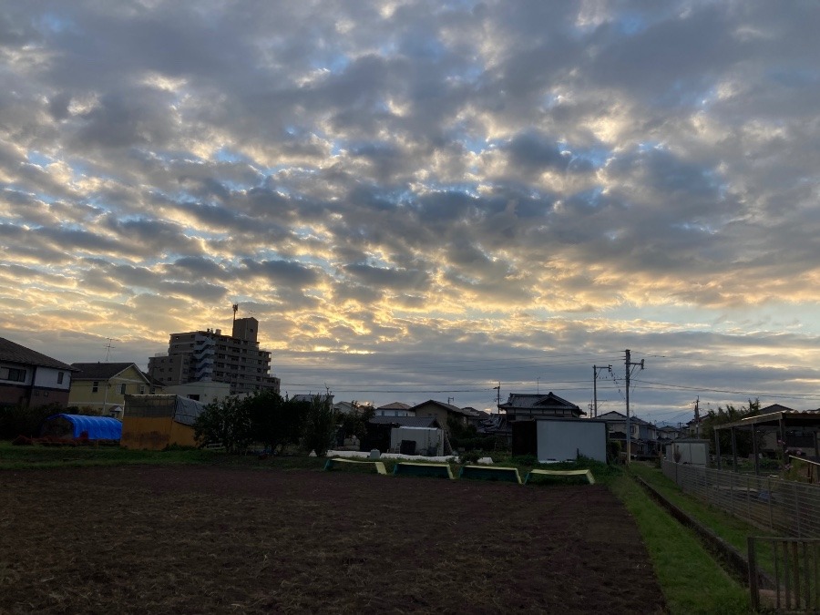 今日の夕陽