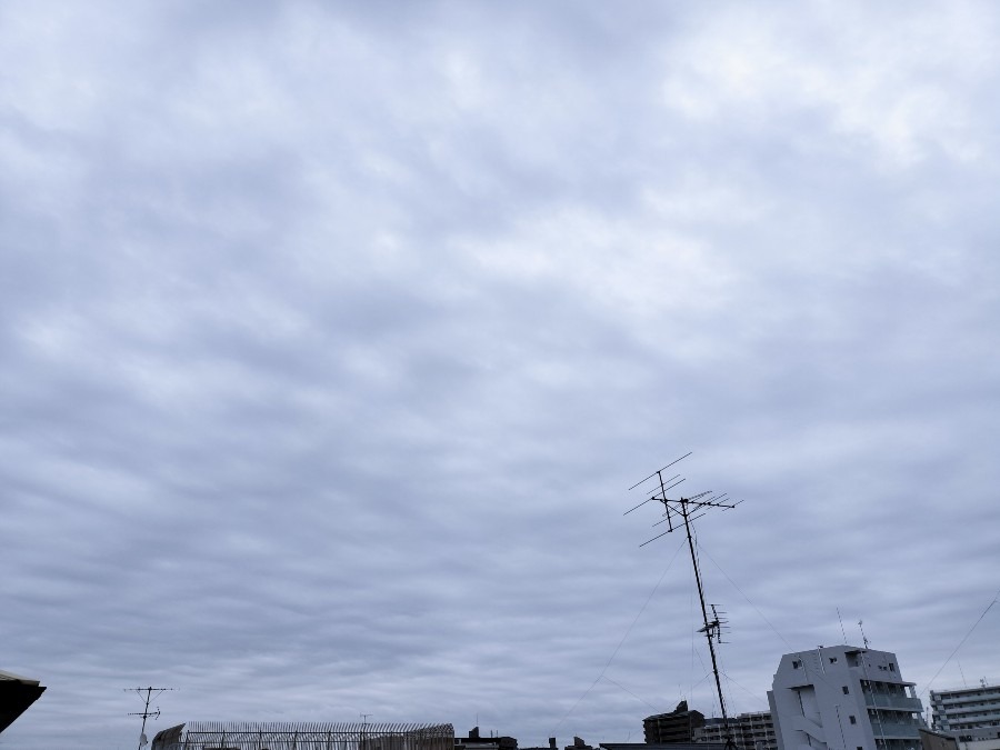 10月7日朝の空