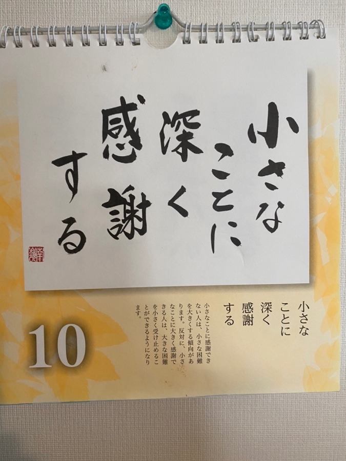 良樹細根