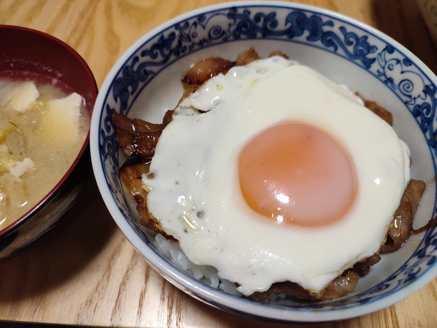 今夜は豚丼😁