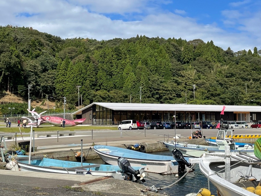 道路を  右折した瞬間に