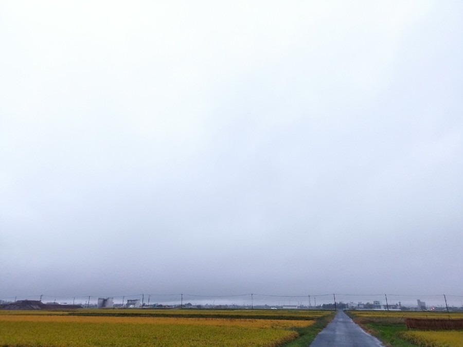 都城市（2022/10/17）今朝は雨です😓❗（東の空）