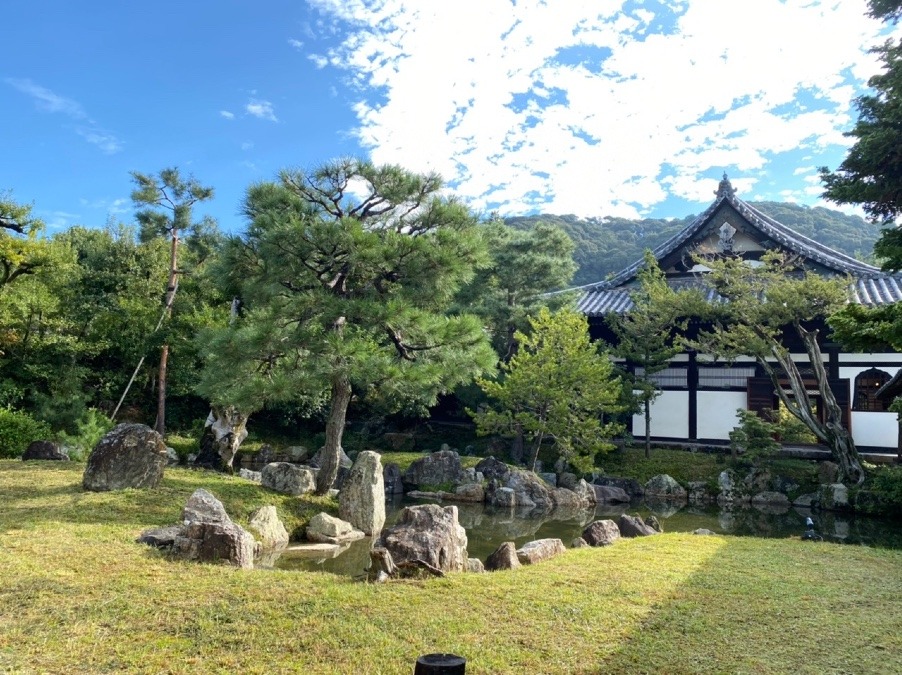 旅の思い出✨　高台寺