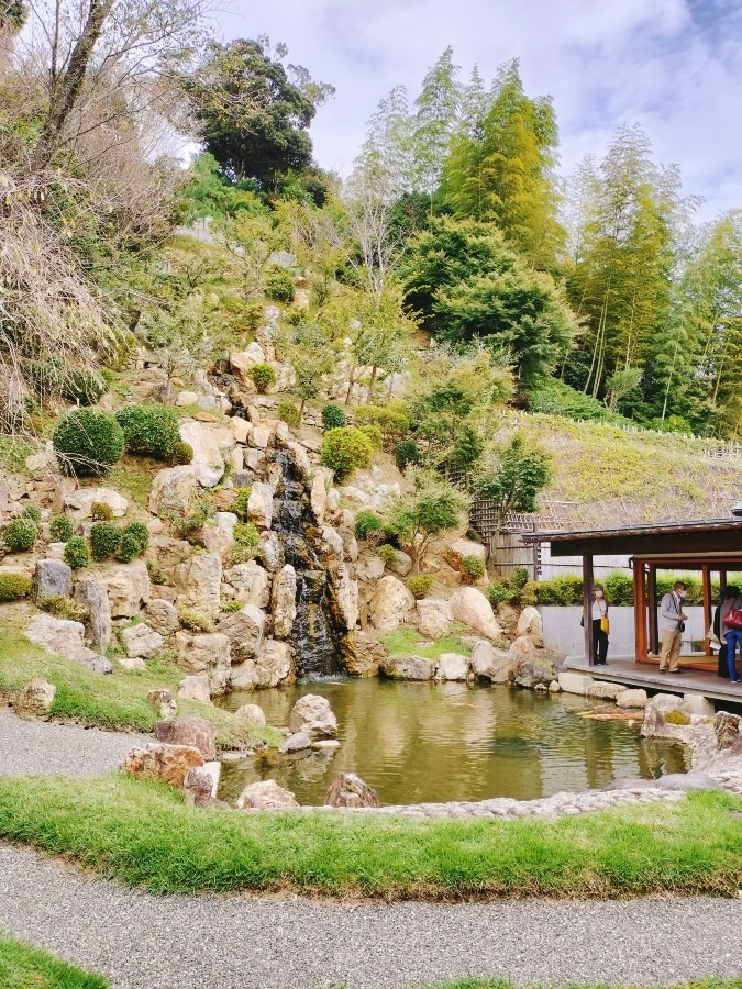 龍雲寺の庭
