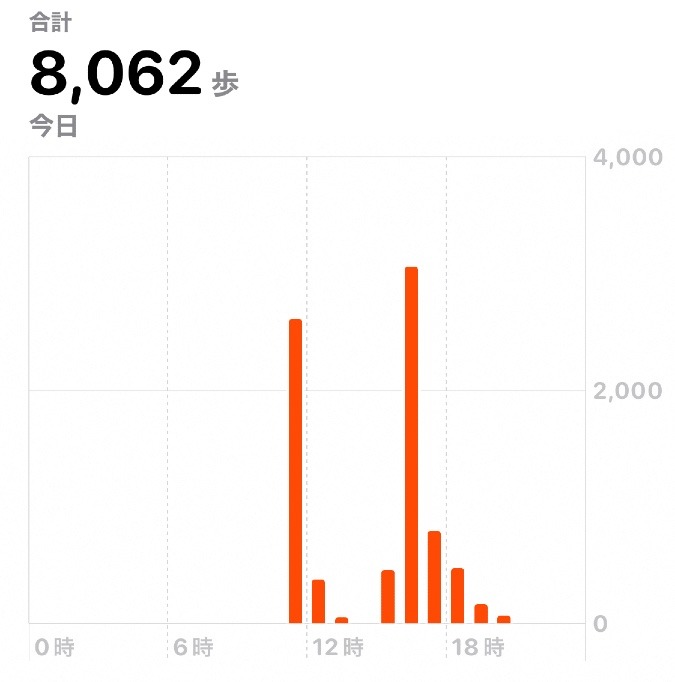 8062歩　ウォーキング　10/16