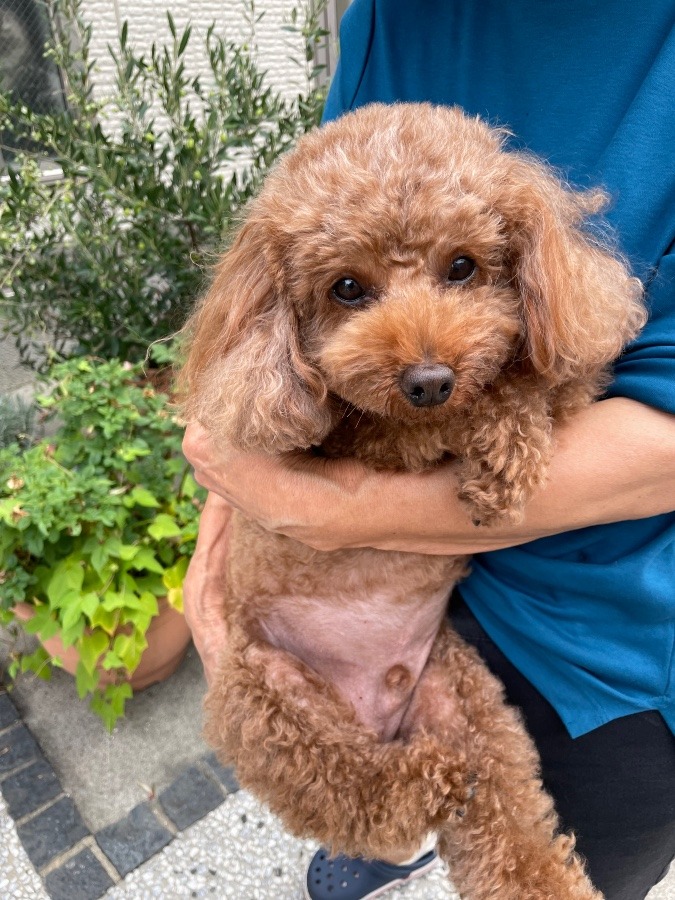 気持ちいいワン❣️🐶🐶