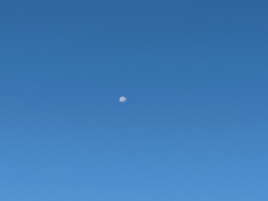 【朝の空】