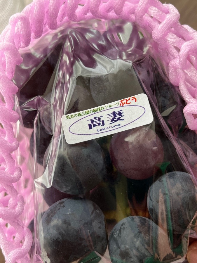 秋の味覚🍇