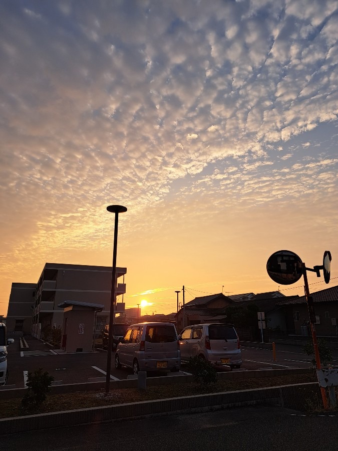 10/3　　今朝の空