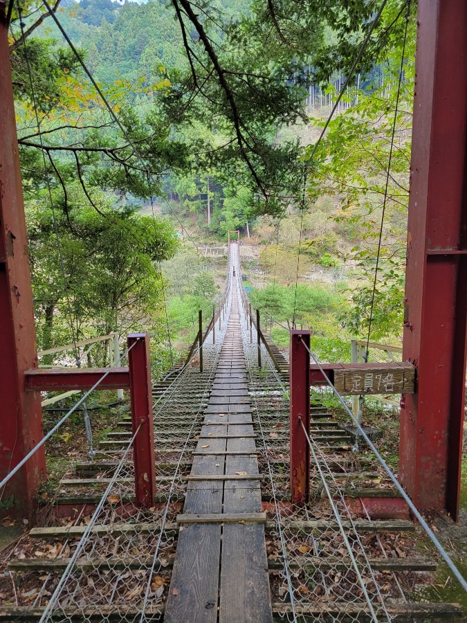 大井川上流に架かる吊り橋を見て来ました