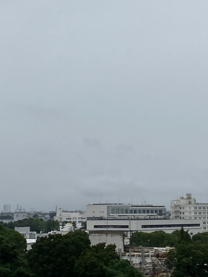 今朝の富士山