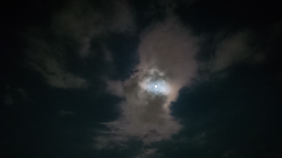 見えました〜🌕