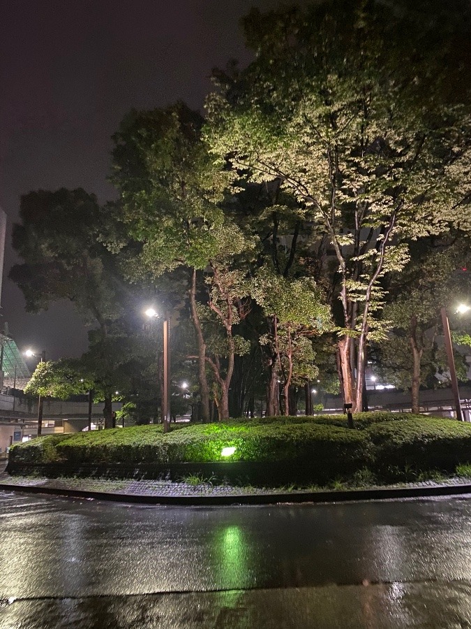 鹿児島ツアー　雨の出発