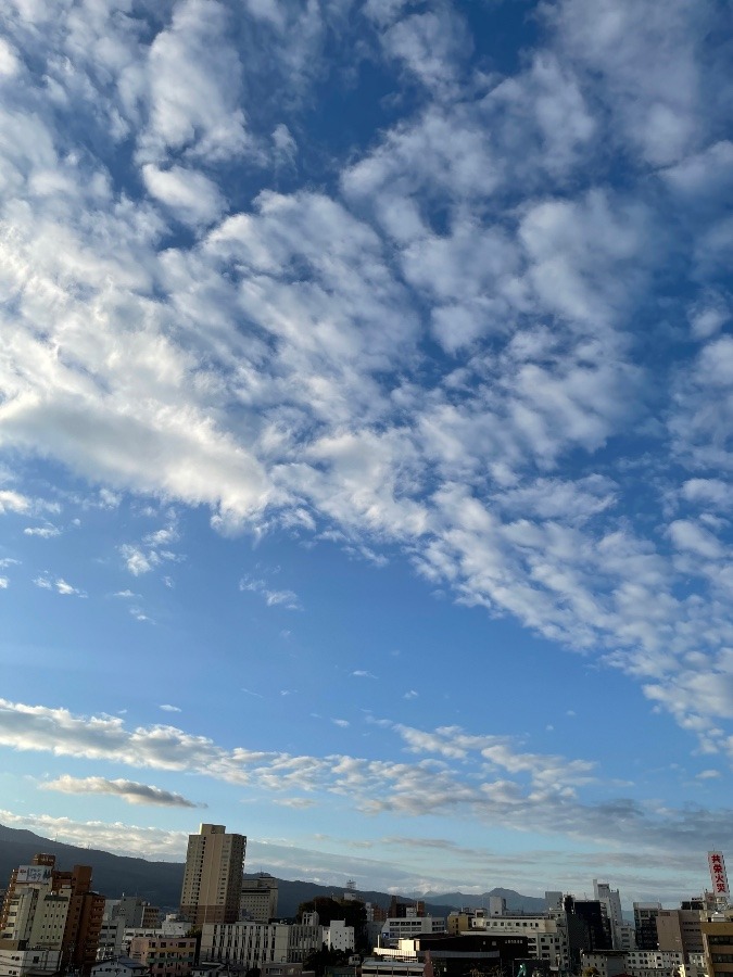 今朝の空  3