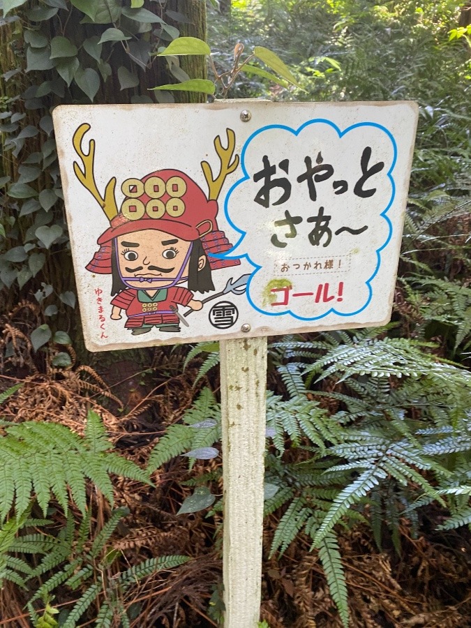 お疲れ様‼️おやっとさー