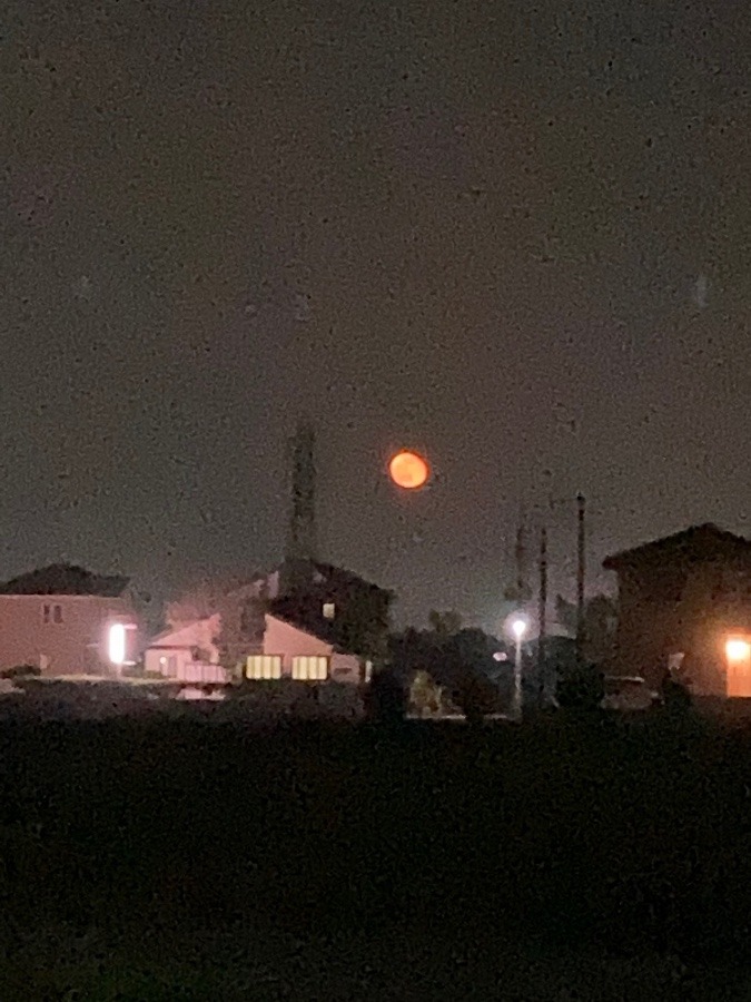 お月様🌕