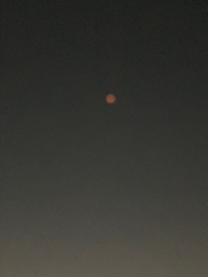 皆既月食